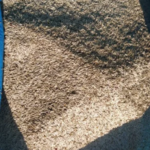 فرش تست برای یاسین